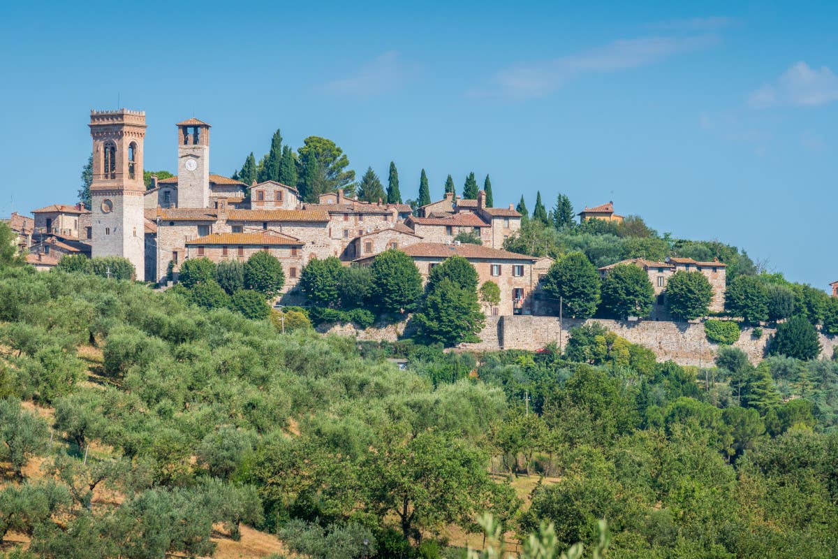 Il Gamay del Trasimeno: un gioiello nascosto tra le colline dell'Umbria