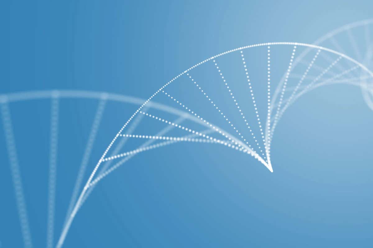 Test nutrigenetico: il futuro della dieta personalizzata passa per la genetica Test nutrigenetico: il futuro della dieta personalizzata passa per la genetica