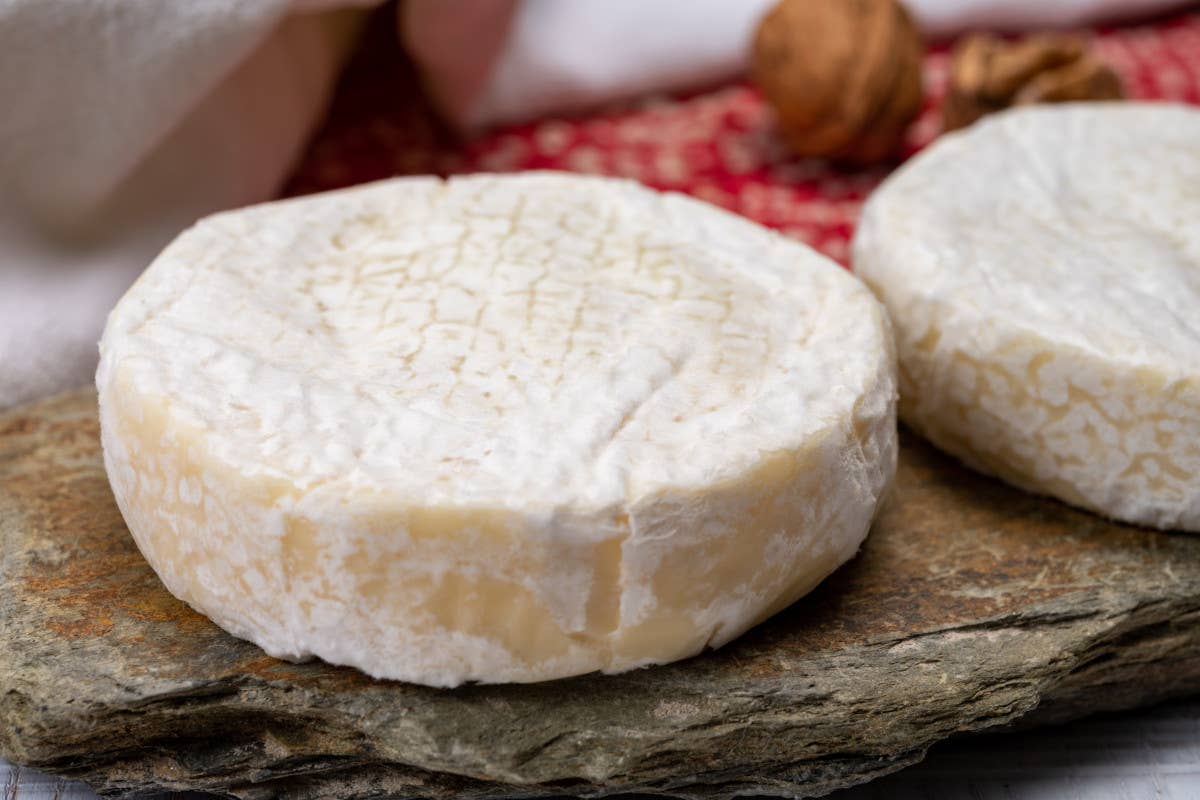 Bimba di un anno intossicata da formaggio a latte crudo: è un altro caso in Trentino