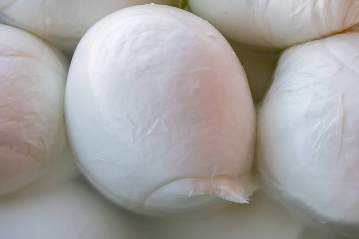 Mozzarella di Gioia del Colle Dop