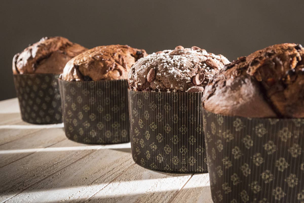 Mastro Panettone 2024: novità assolute per un concorso sempre più prestigioso