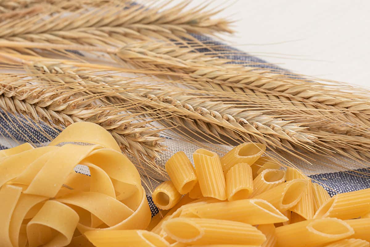 A Palermo e Catania il confronto sulla filiera del grano e della pasta siciliana