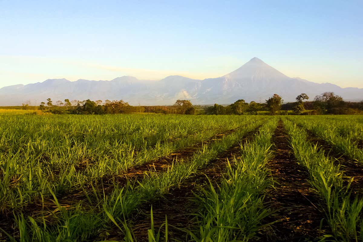 Non solo dopopasto: il rum conquista la mixology e i ristoranti stellati