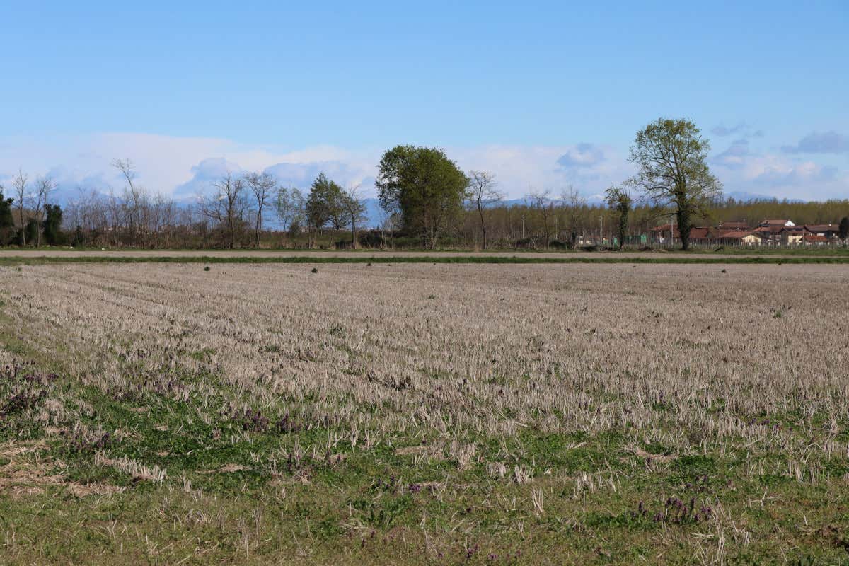 Siccità, alluvioni e caldo record: risarcimenti oltre 6 milioni per il meteo pazzo Siccità, alluvioni e caldo record: risarcimenti oltre 6 milioni per il meteo pazzo