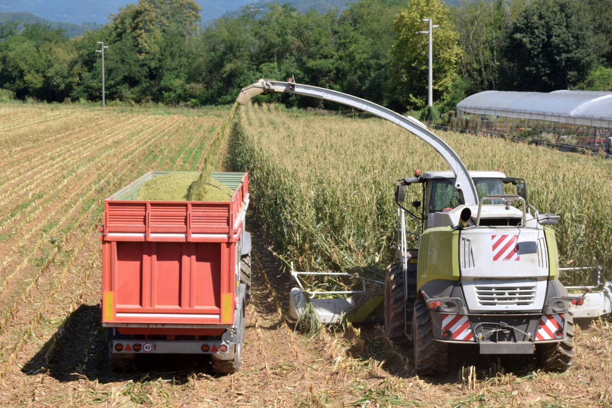 Regione Lombardia: 20 milioni di euro per i giovani agricoltori nel 2025