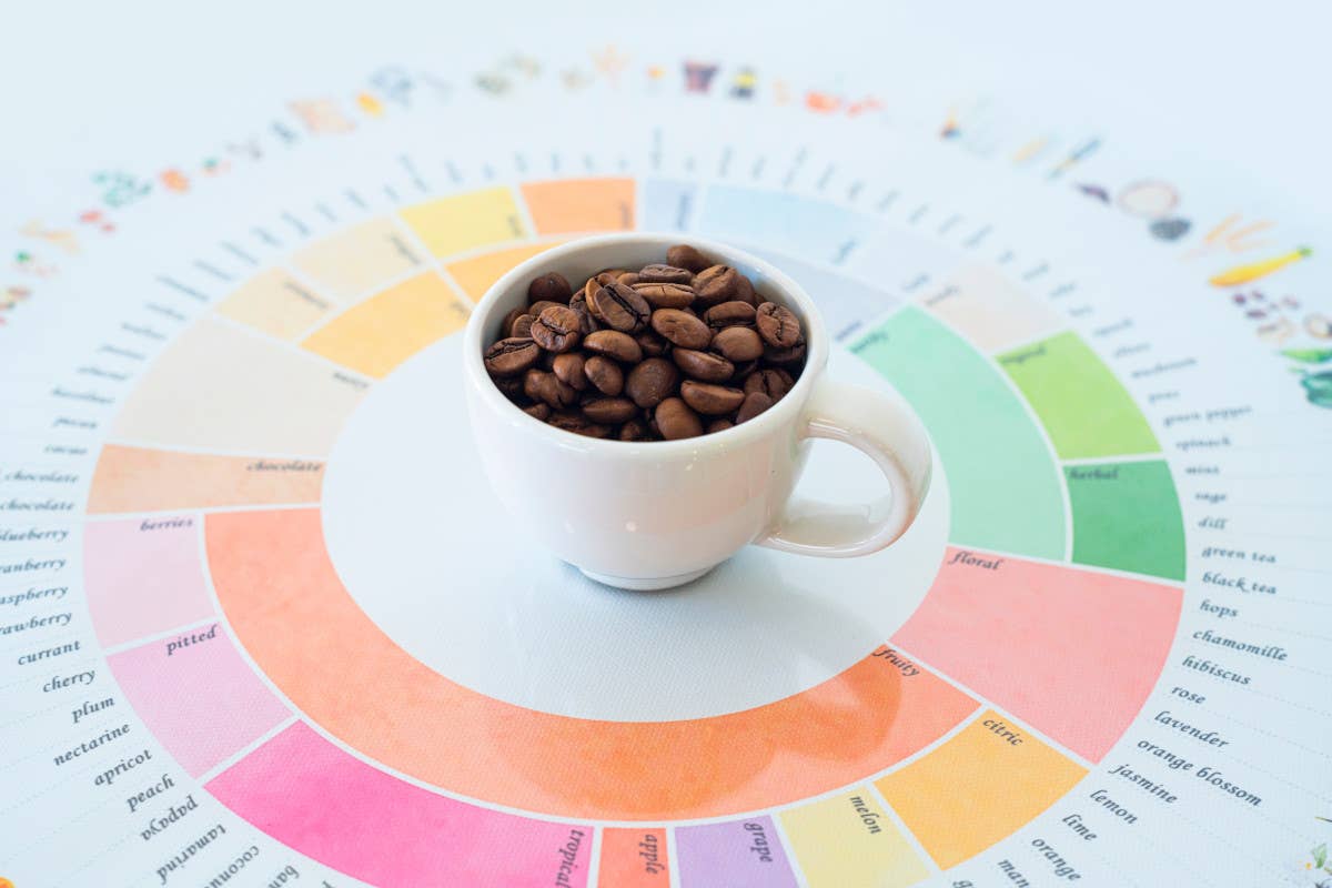 Come degustare un caffè: l'importanza dei cinque sensi 