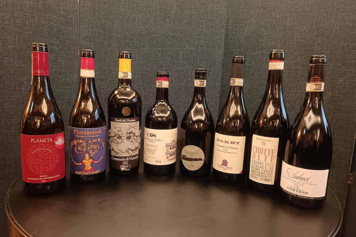 Terreni, vitigni e stile: così il sud-est della Sicilia riscrive i vini rossi Terreni, vitigni e stile: così il sud-est della Sicilia riscrive i vini rossi