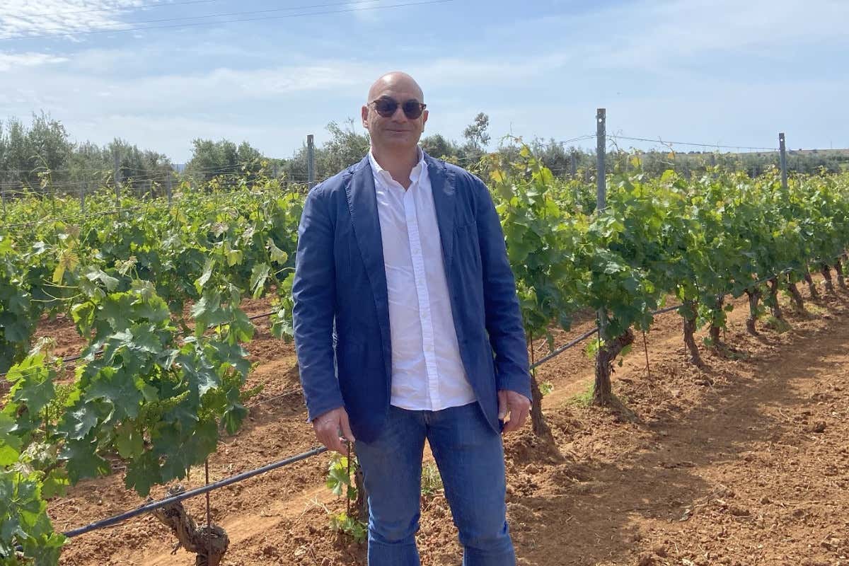 Terreni, vitigni e stile: così il sud-est della Sicilia riscrive i vini rossi Terreni, vitigni e stile: così il sud-est della Sicilia riscrive i vini rossi