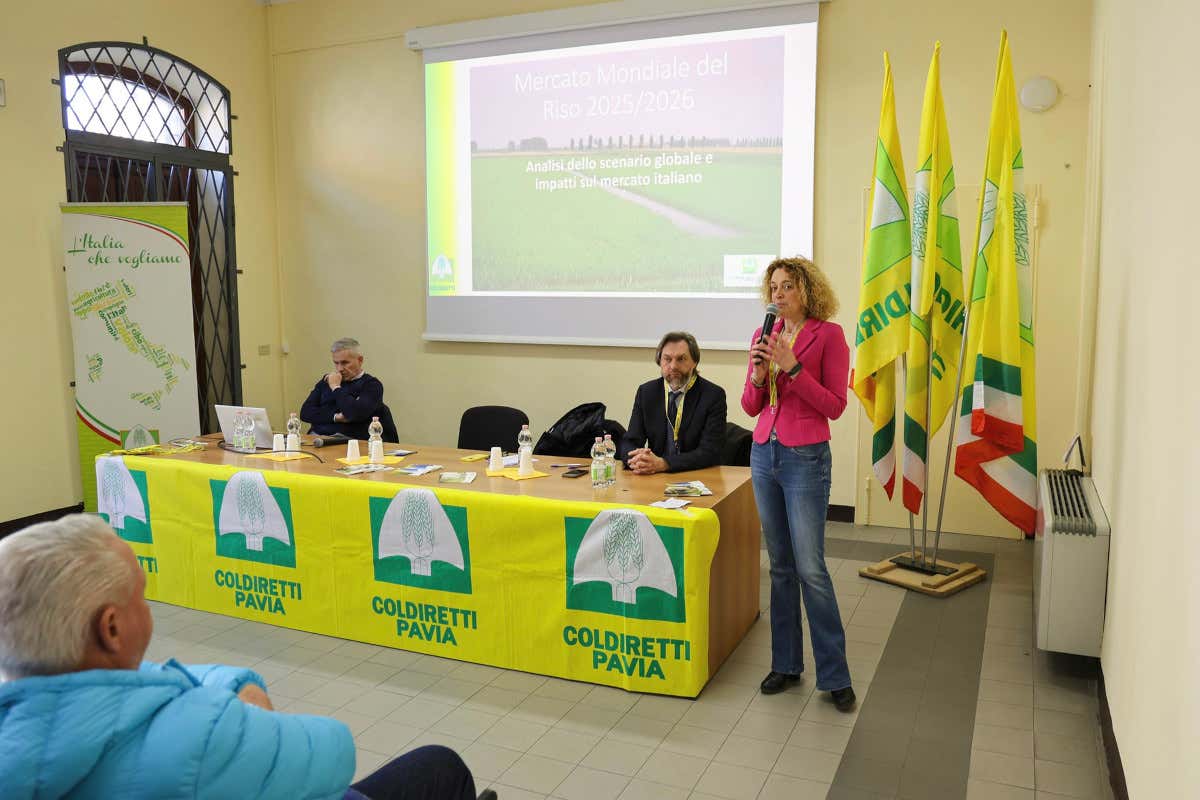 Prezzi bassi (come 10 anni fa), costi alle stelle: l’allarme dei risicoltori pavesi