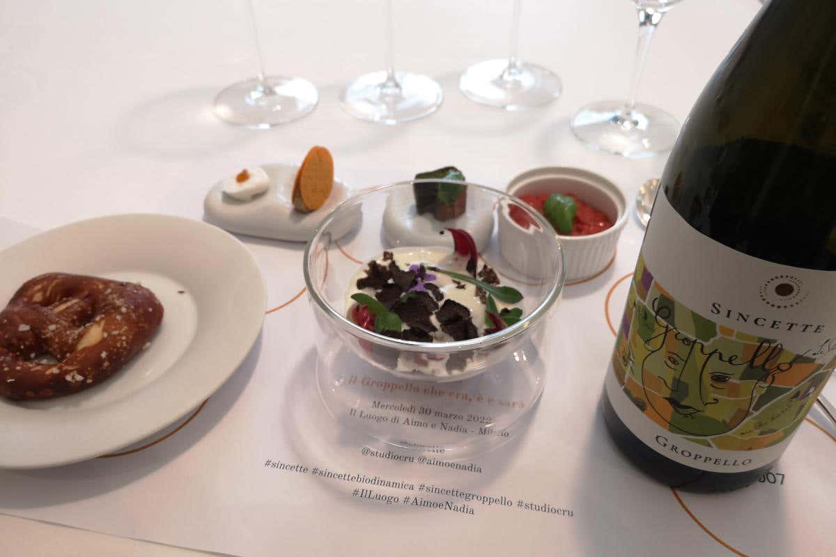 Sincette 2020 Groppello, il vino che non rispetti e che Sincette sa fare invecchiare alla grande