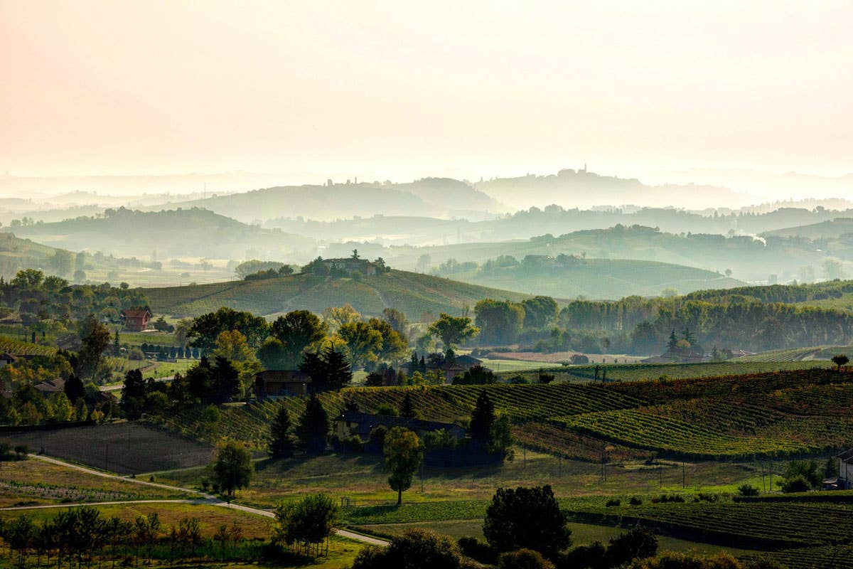 Consorzio Barbera d'Asti: la sostenibilità protagonista alla Milano Wine Week 