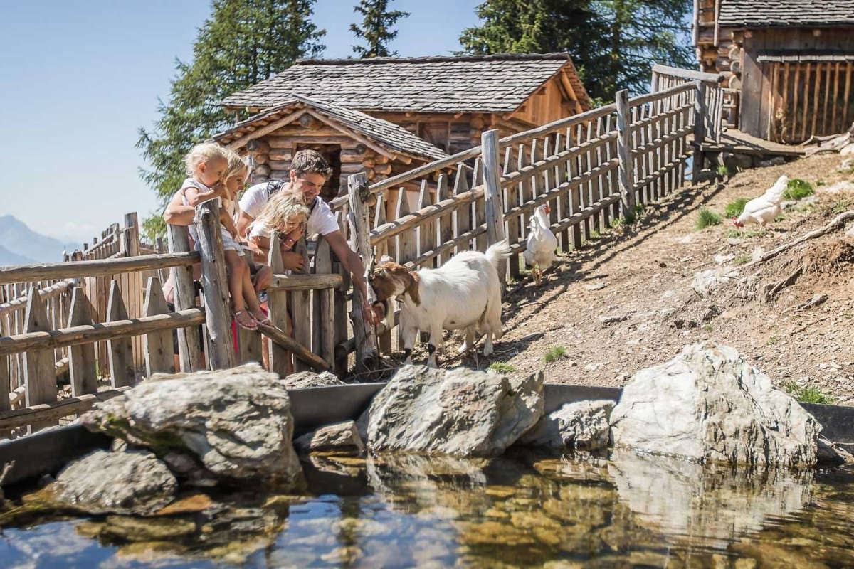 Zwiglhof, relax sostenibile per tutta la famiglia in cima alle Dolomiti