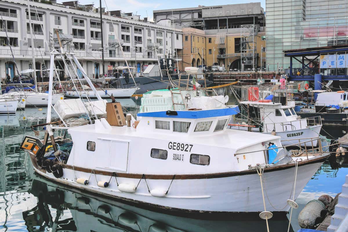 Slow Fish 2025: 4 giorni al Porto Antico di Genova tra pesce, cultura e futuro