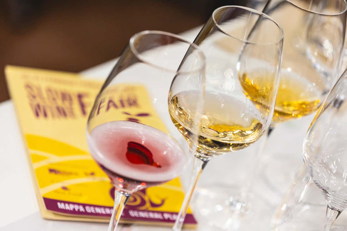 Slow Wine Fair torna a Bologna con 1.100 cantine e una sfida etica sul vino