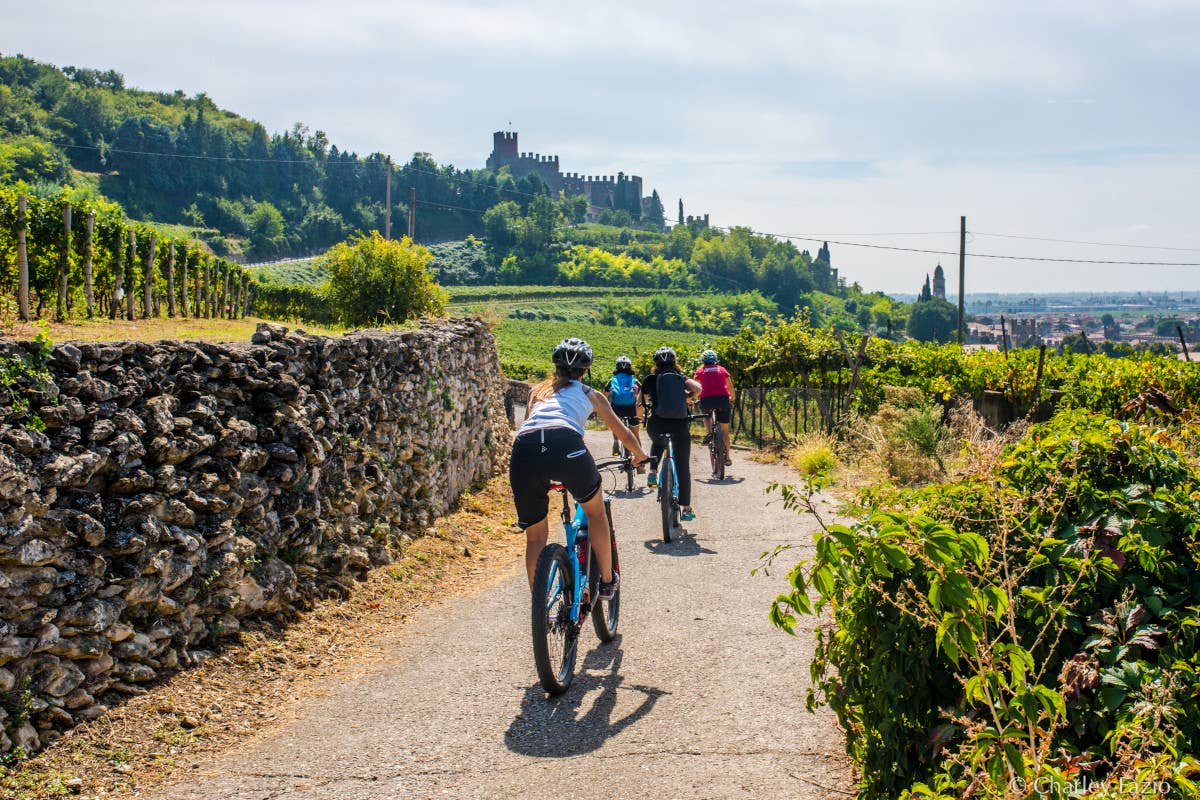 Alla scoperta dei vigneti del Soave in ebike