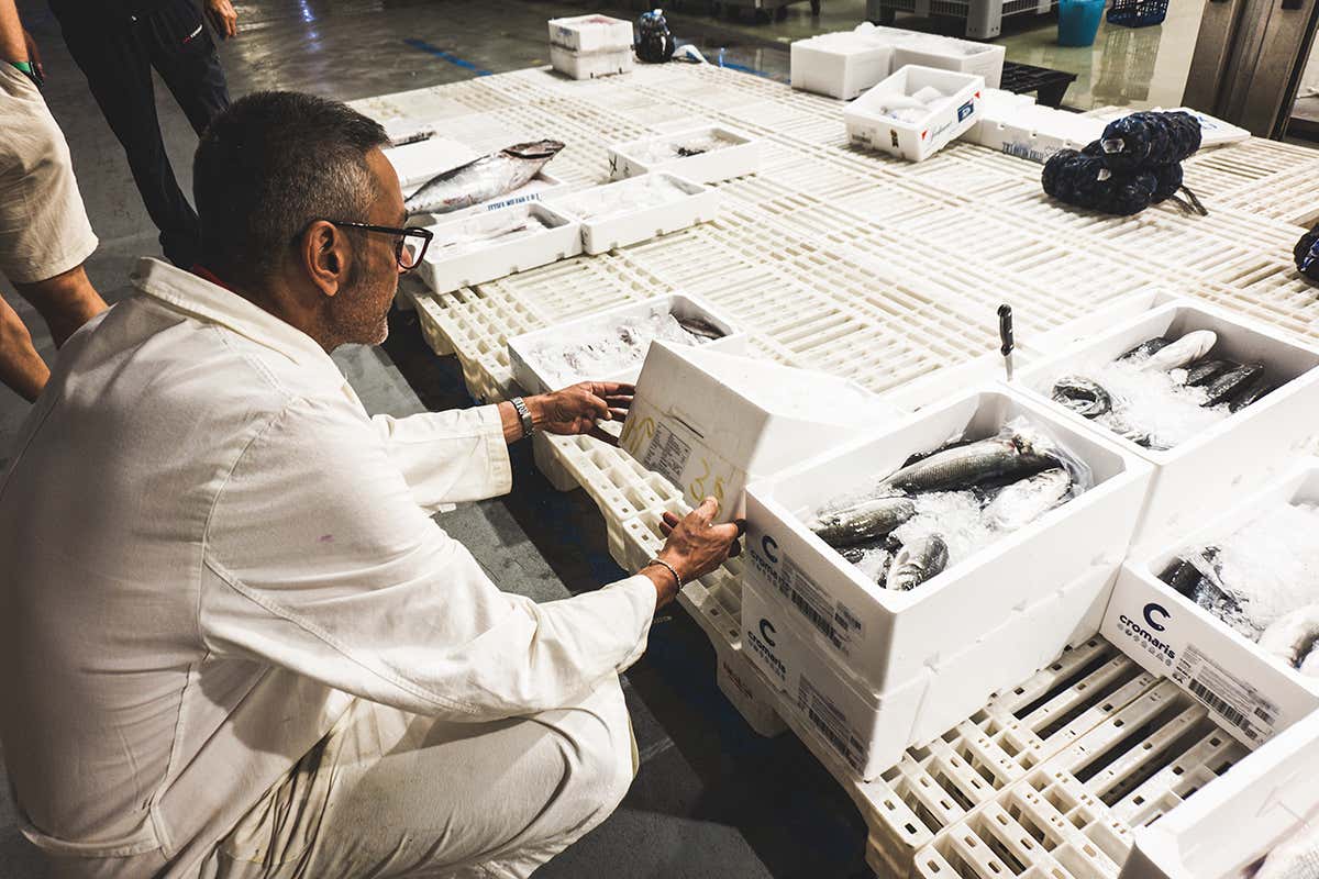 A Natale il prezzo del pesce cresce: il Mercato Ittico di Milano spiega quanto e perché A Natale il prezzo del pesce cresce: il Mercato Ittico di Milano spiega quanto e perché