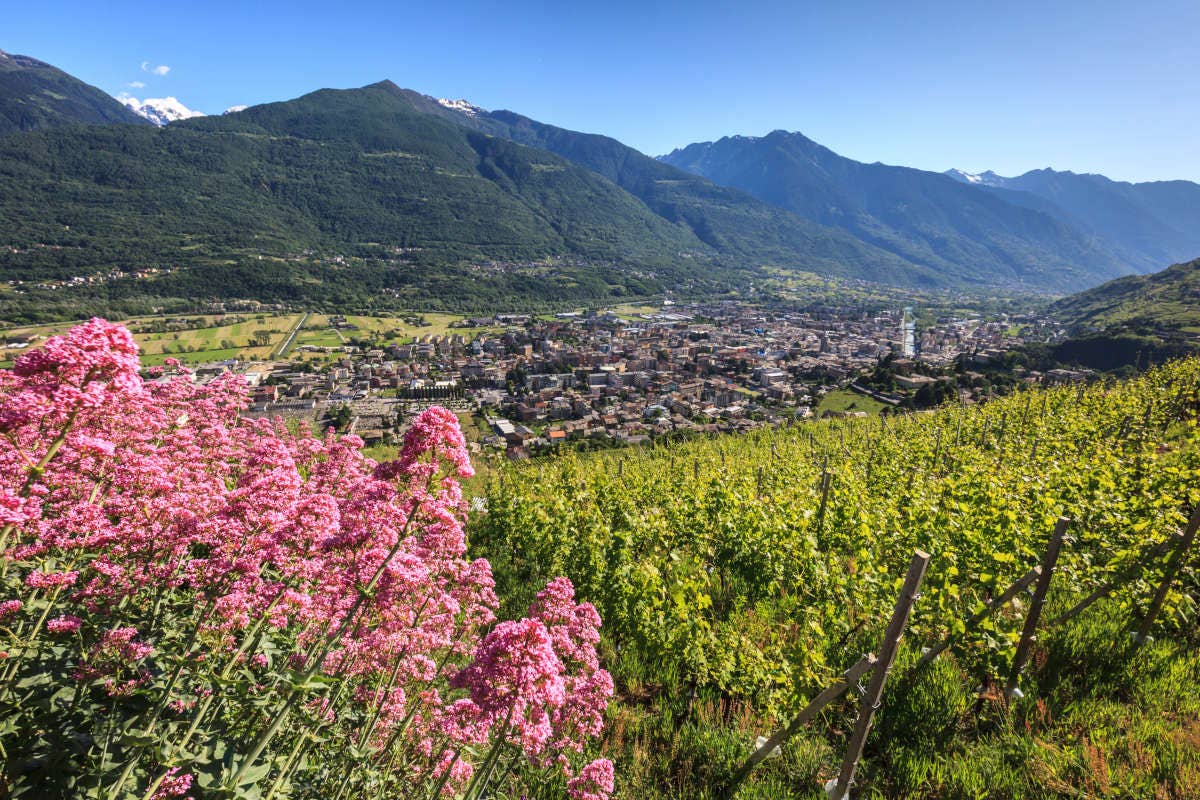 Esplorando la Valtellina: dalla città di Sondrio alle vette della Valmalenco