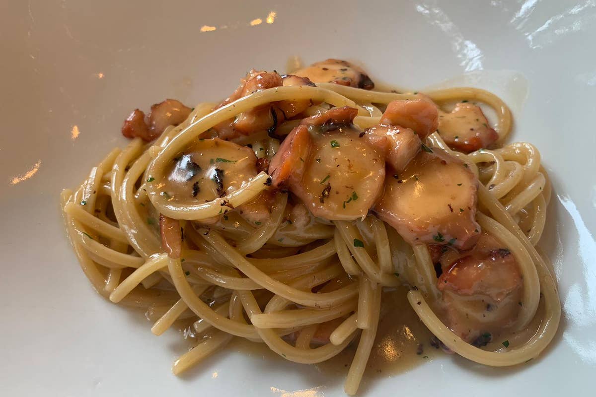 Spaghettone quadrato ‘De Cecco’ con polipo, aglio, olio, e peperoncino Acanto di Milano, piatti in equilibrio tra tecnica e passione