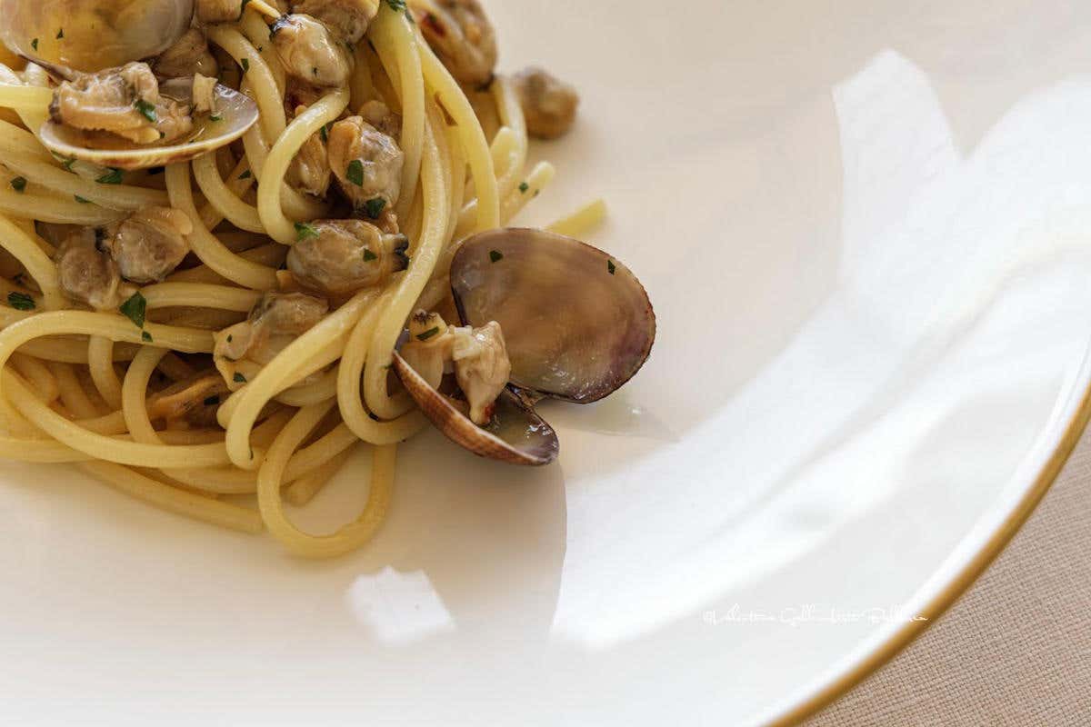 Spaghettone con vongole veraci e tartufo marzolino 