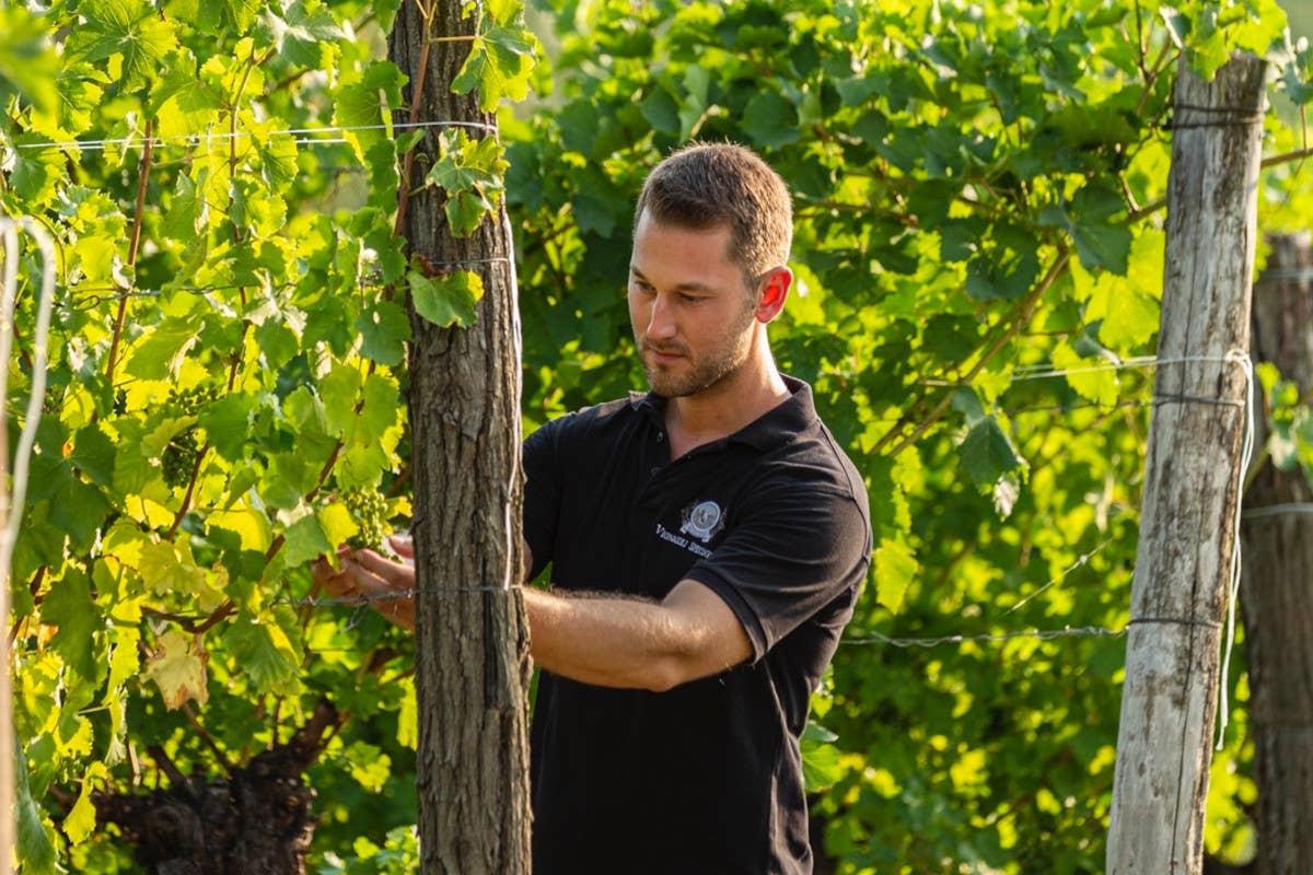 Dalle vigne ai paddock di Formula 1 e MotoGp: il successo dei vini Specogna