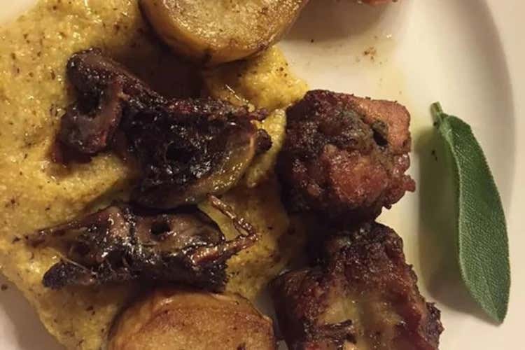 Spiedo bresciano con uccellini nel mirino dell’Ue: scoppia il caso politico