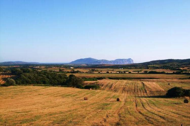 Non più solo la Pelosa. Stintino punta a un turismo tutto l'anno