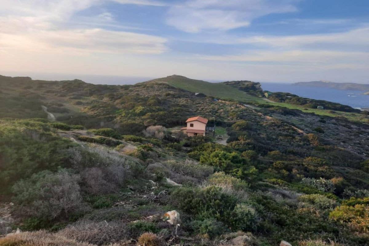 Non più solo la Pelosa. Stintino punta a un turismo tutto l'anno