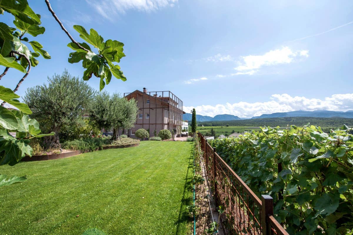 Un viaggio tra storia e sapori sulla Strada del Vino dell'Alto Adige