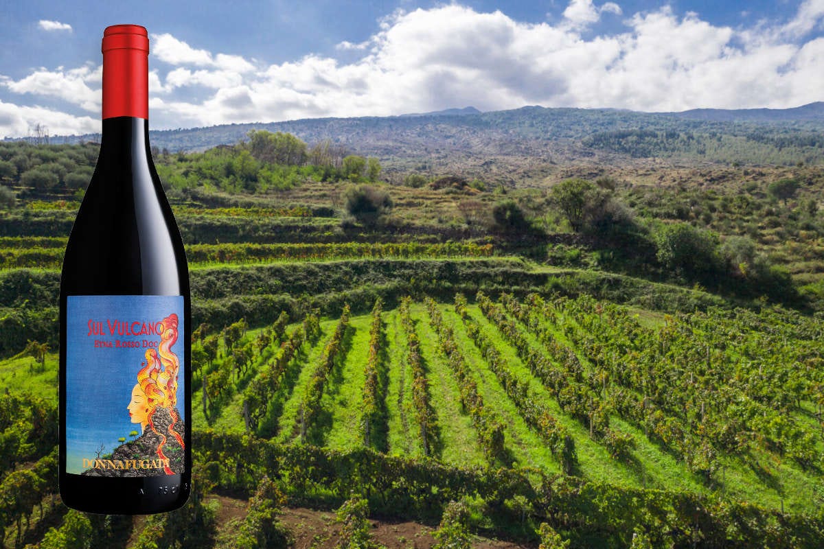 L'anima del territorio siciliano nei vini di Donnafugata
