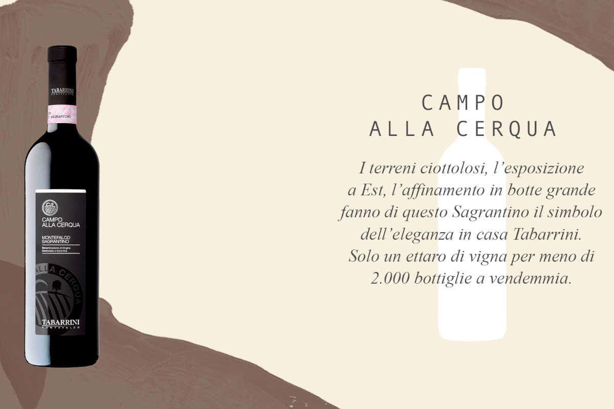 Tabarrini: vini umbri dalla personalità vulcanica