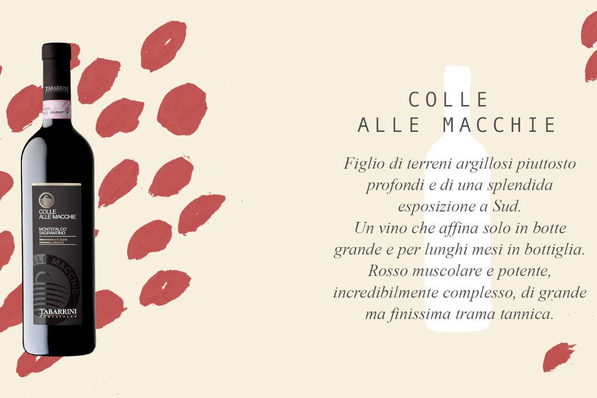 Tabarrini: vini umbri dalla personalità vulcanica