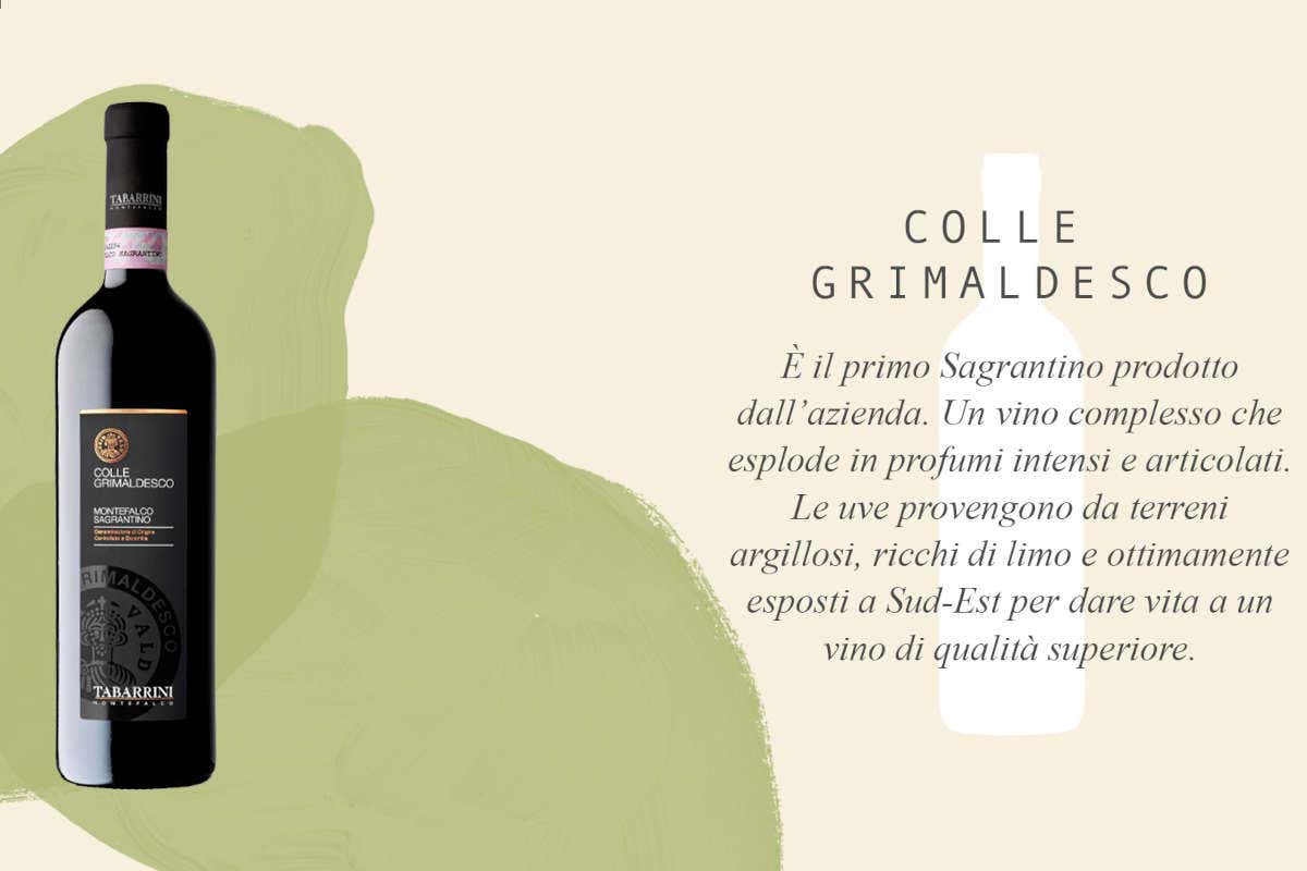 Tabarrini: vini umbri dalla personalità vulcanica