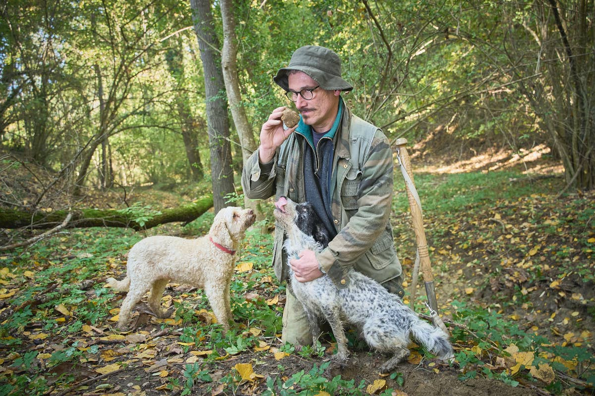 Torna la mostra mercato del Tartufo bianco a San Giovanni d’Asso