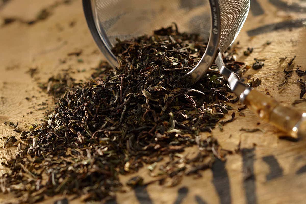 Il tè, dal nero ai miscelati, tante le varietà (almeno 5mila) per lavorazione e aromi