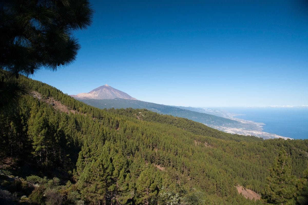 Tenerife riprende il suo solito ritmo dopo lo “stop” per gli incendi