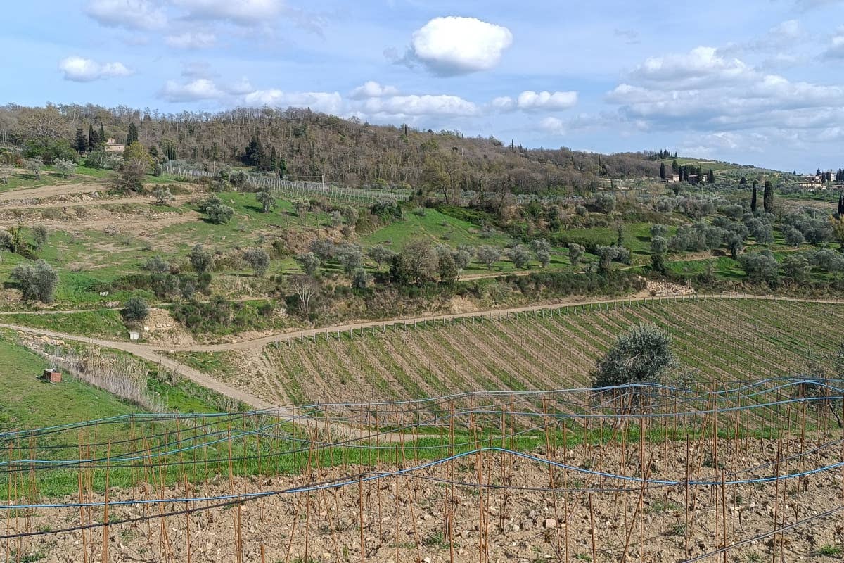 Tenuta Casenuove: un gioiello nel cuore del Chianti Classico