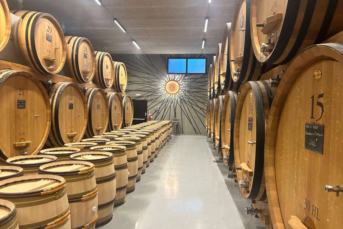 Tenuta Luce di Frescobaldi: vino dai brillanti riflessi di Toscana