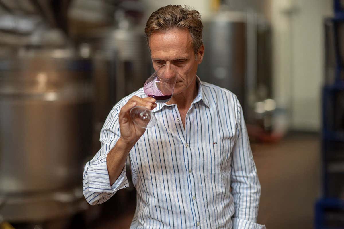 P#327, la particella che ha dato vita al nuovo Brunello di Campogiovanni P#327, la particella che ha dato vita al nuovo Brunello di Campogiovanni