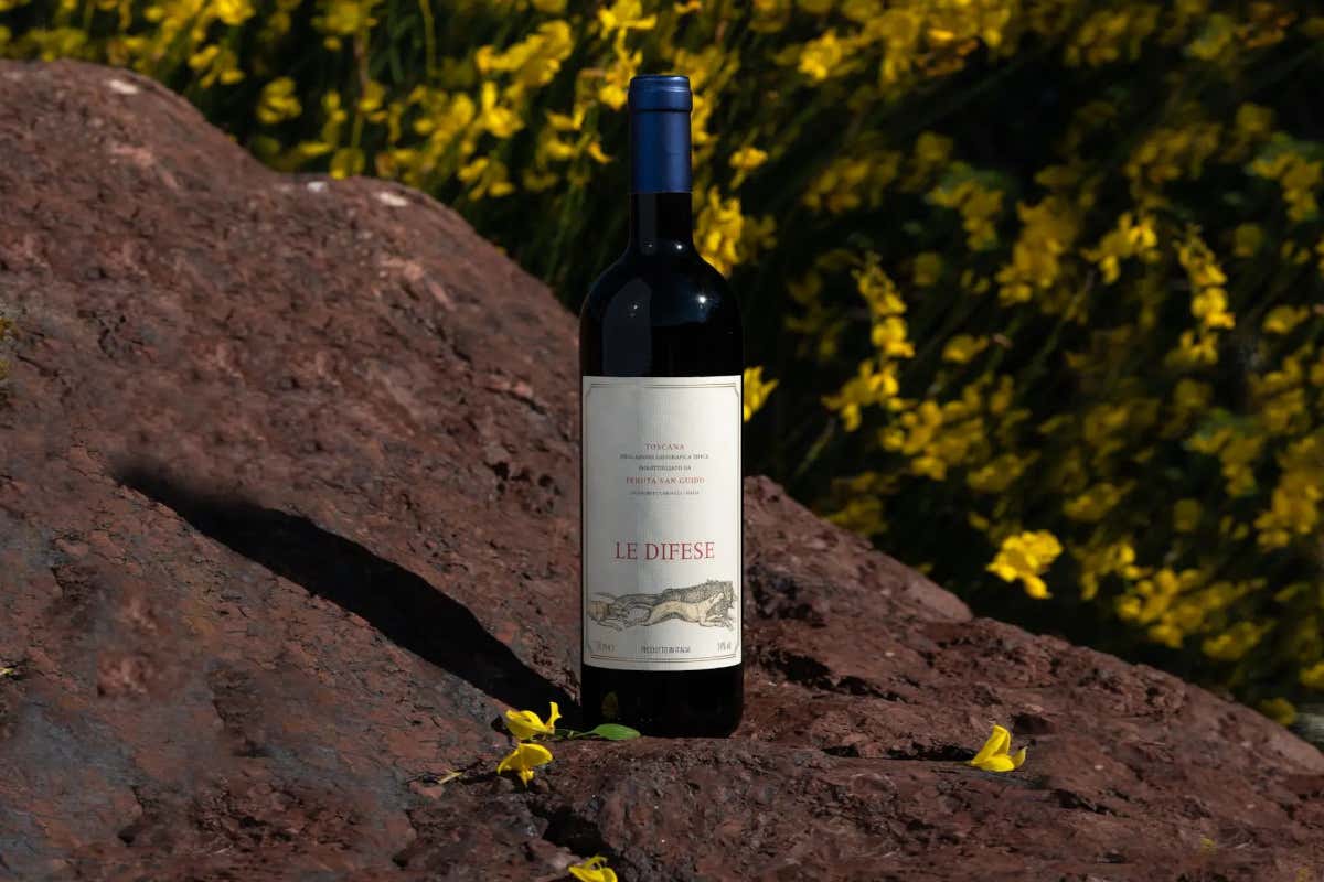 Sassicaia, Guidalberto, Le Difese: Bolgheri in tre atti d'autore Sassicaia, Guidalberto, Le Difese: Bolgheri in tre atti d'autore