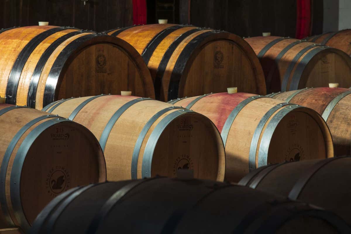 Tenute Tomasella, dove Veneto e Friuli si incontrano tra vini eleganti, natura e ospitalità