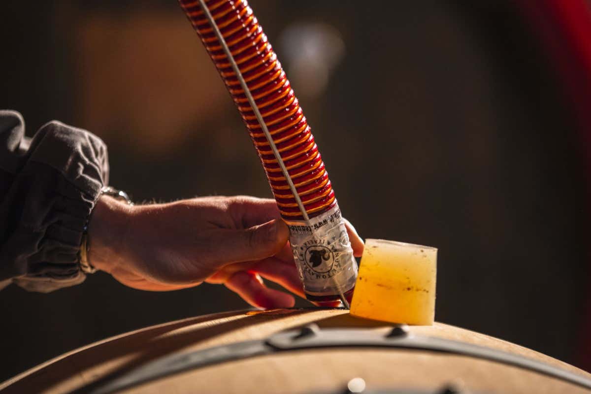 Tenute Tomasella, dove Veneto e Friuli si incontrano tra vini eleganti, natura e ospitalità