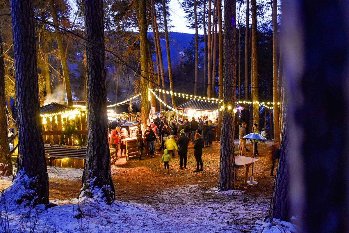 Terento accende l’Avvento: mercatini, alpaca e il suggestivo Natale nel Bosco