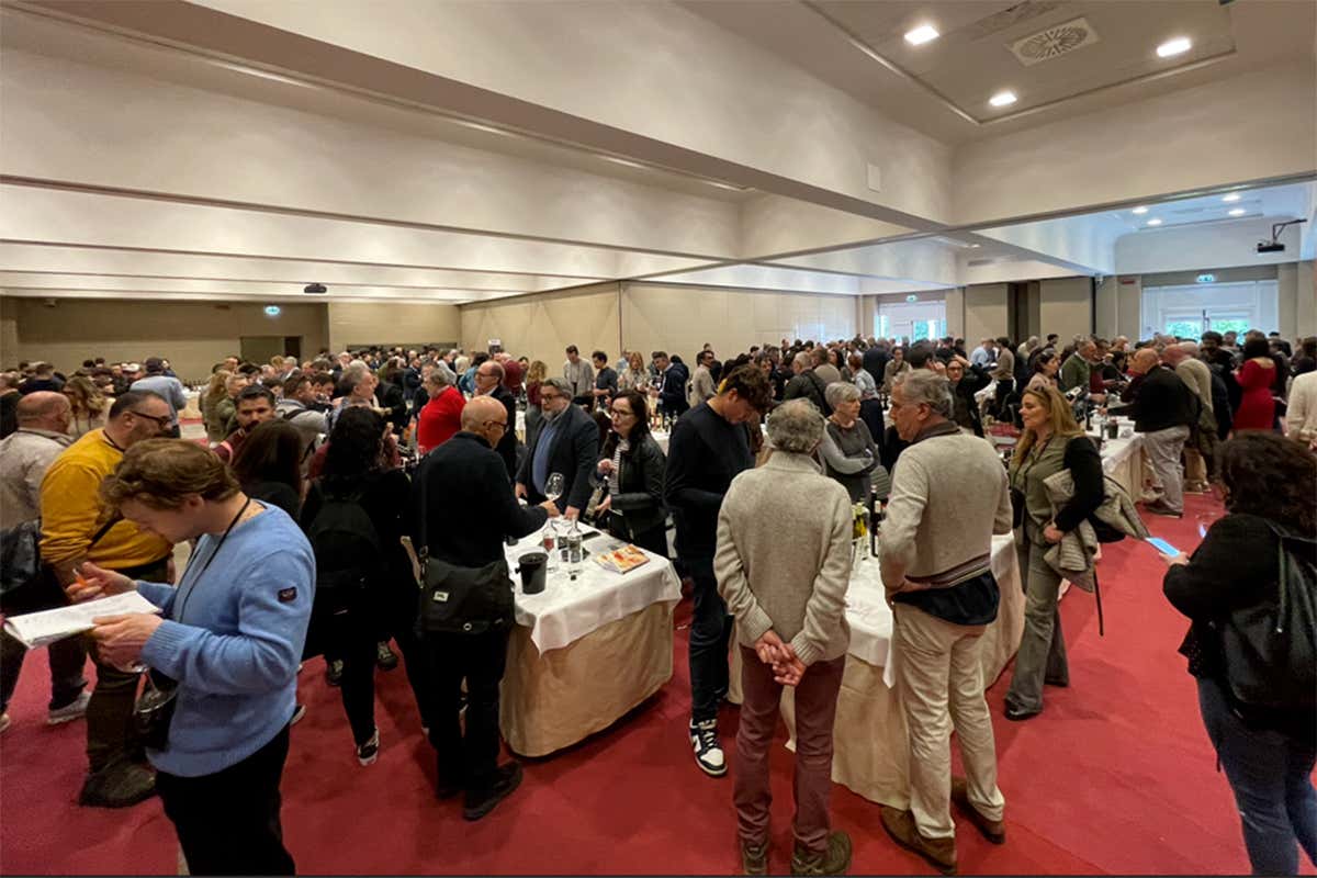 Oltre 700 etichette di grandi vini toscani svelati a Terre di Toscana 2026