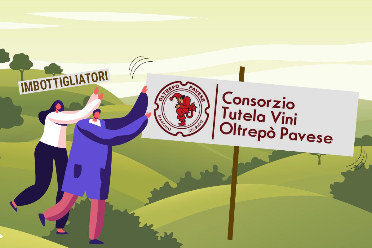 Consorzio Vini dell'Oltrepò: si dimettono dal consiglio gli imbottigliatori. La maggioranza chiede lealtà