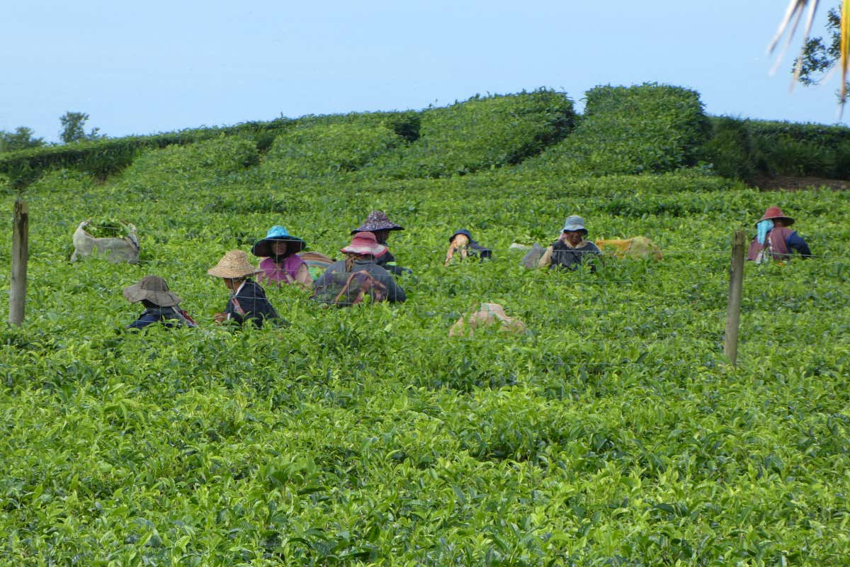 Come andare alle Mauritius con lo scambio casa