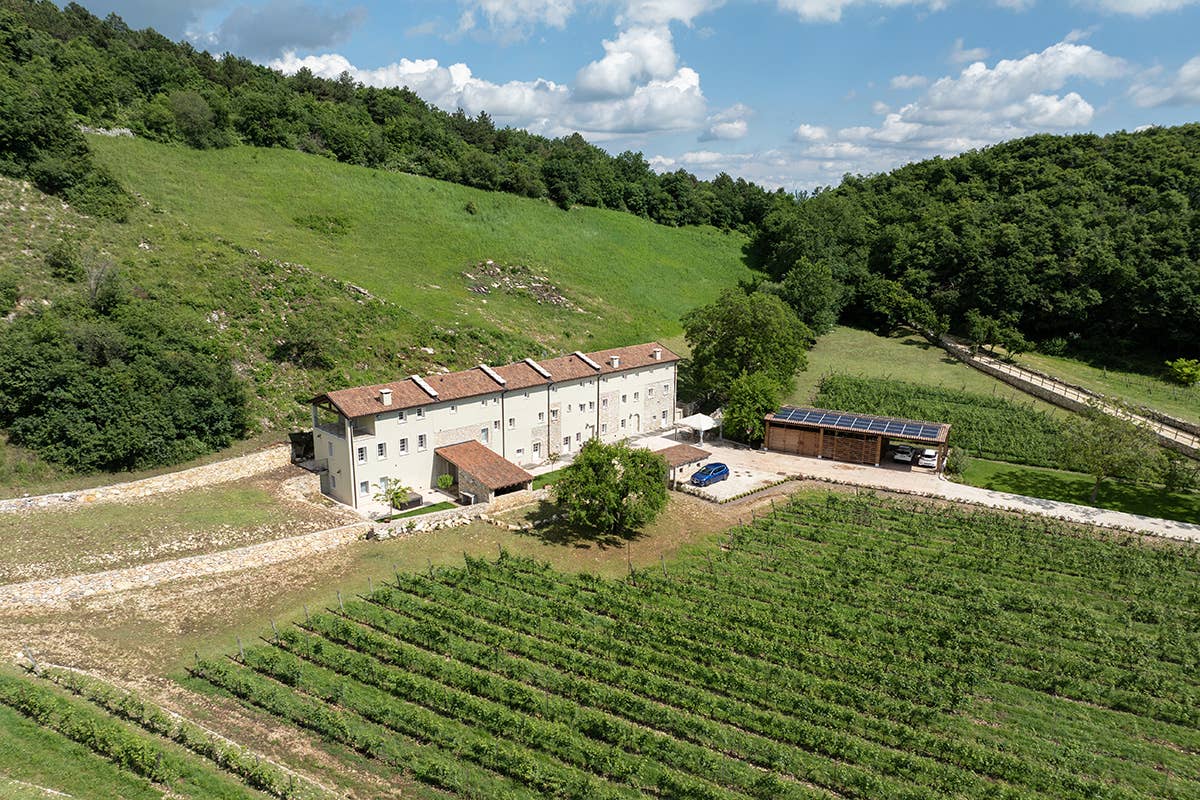 Tinazzi: linea premium, wine experience e hospitality con Poderi Campopian