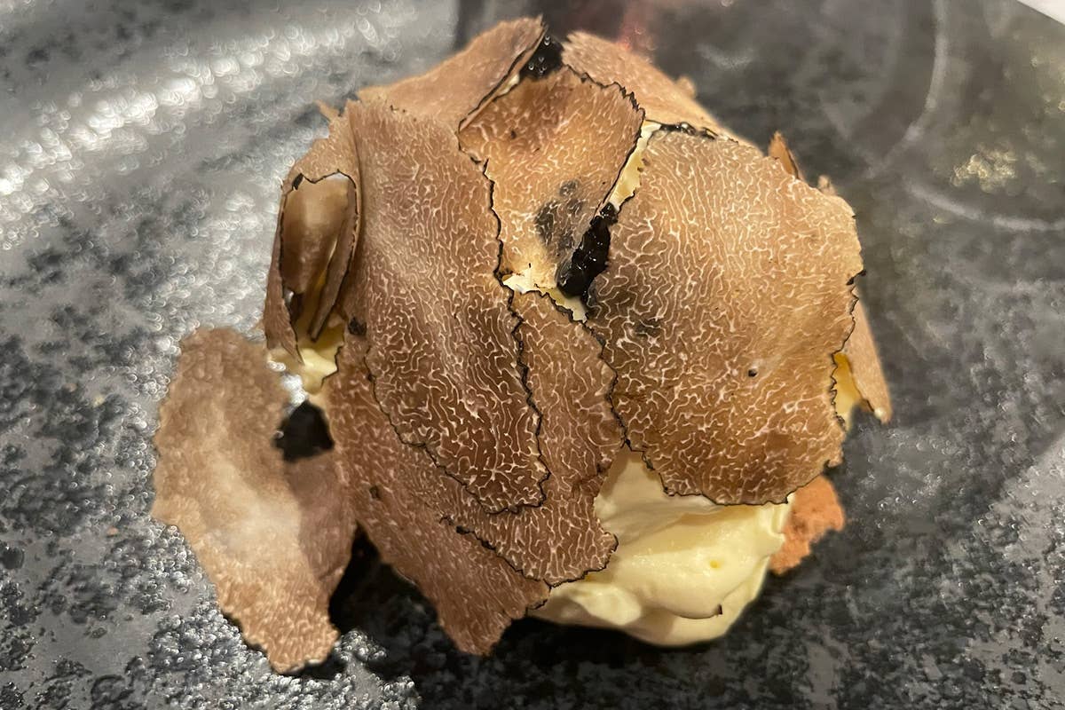 Tiramisu al tartufo  Il Veneto nel piatto con Daniel Canzian e Saimir Xhaxhaj