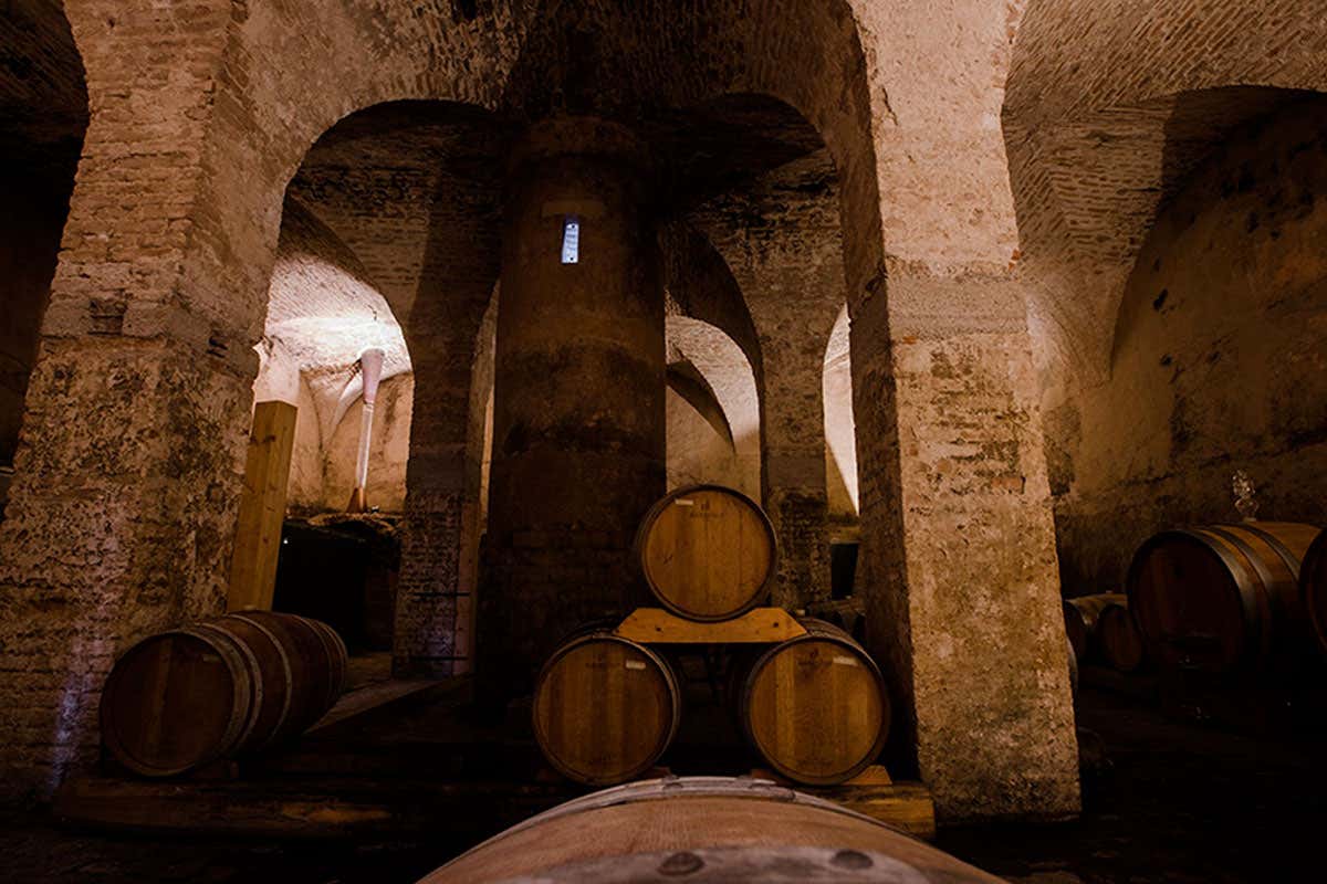 Dalla spiritualità ai vini: l’Abbazia di Praglia racconta 900 anni di storia
