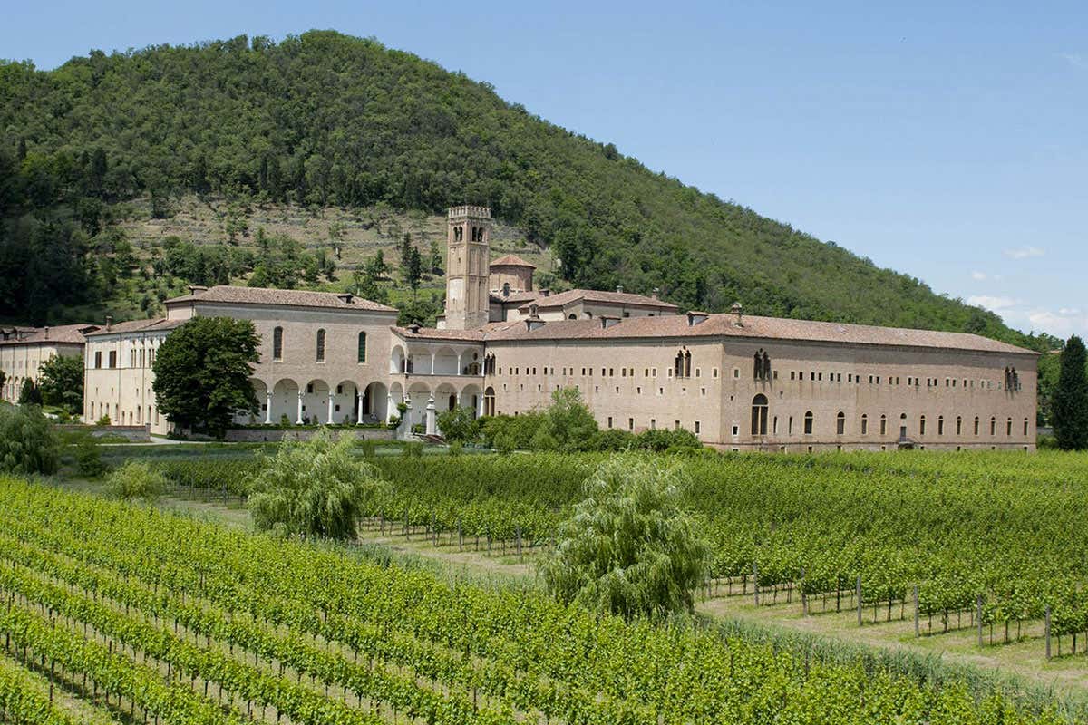 Dalla spiritualità ai vini: l’Abbazia di Praglia racconta 900 anni di storia