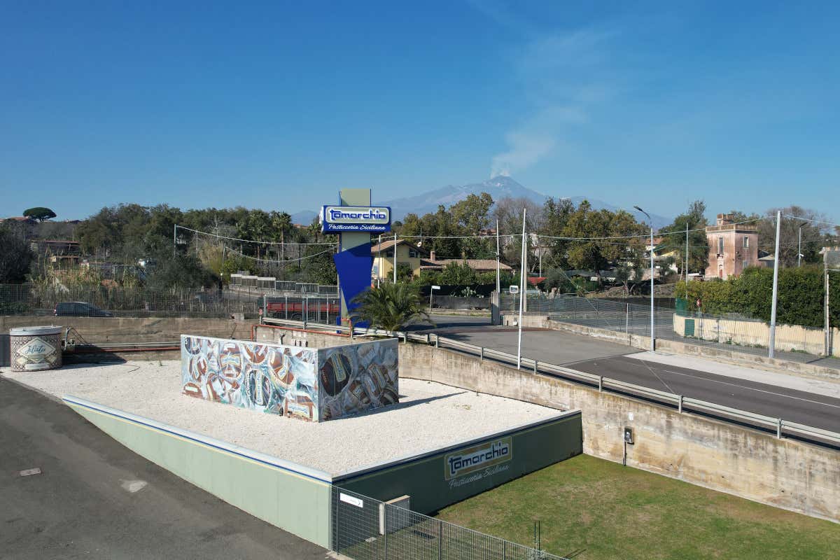 Uva baciata dal sole e senza lattosio: dalla Sicilia arriva un panettone speciale